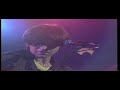 The Chameleons -  Pleasure and pain