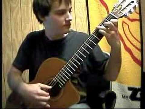 mario brothers on classical guitar