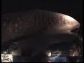 acuario de veracruz