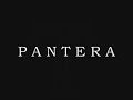 PANTERA - Cowboys From Hell