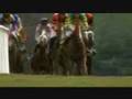 Irish Horse Racing 7min Documentary