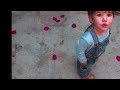 llego tu amor