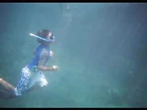 Feel Good Island Music