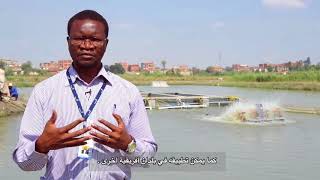 الاستزراع المكثف فى مياه جارية داخل الحوض