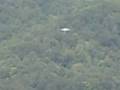 Lookout Mountain hang glider flight #2
