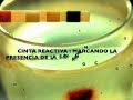 Hostia Sangrante 56- REPRESALIAS XI
