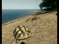 Crysis Warhead - The Island