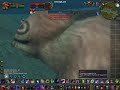 WOW HORDA DRUIDA FERAL PVP