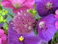 Albinoni - Adagio in G minor Albinoni - Adagio in G minor