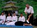 aikido fudoshin dojo curitiba