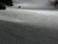 Sorochany ski, Jenka