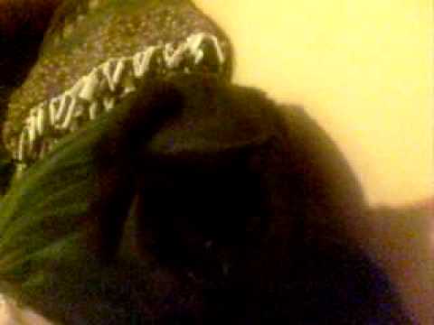 frenchkitty - hey guys i changed the the tital so now its the french kitty.