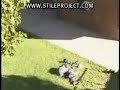 Clicca qui per vedere il video in una nuova finestra