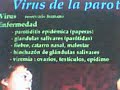gpn sanidad epidemia paperas parotiditis europa pre alerta