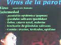 gpn sanidad epidemia paperas parotiditis europa pre alerta