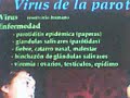 gpn sanidad epidemia paperas parotiditis europa pre alerta