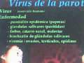 GPN SANIDAD EPIDEMIA PAPERAS PAROTIDITIS EUROPA PRE-ALERTA