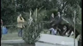 America's Funniest Home Videos - Nhung Clip hai hay nhat - tap 82