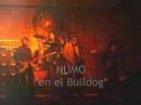 NUMO en el Bulldog NUMO en el Bulldog