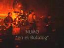 numo en el bulldog