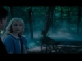  - MovieZen Video