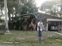 Aiiiiiiiiiiiiiiiiiii