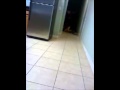 Enhanced video of police beating, Tasing math major
