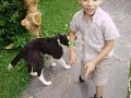 Con Tomi Y los Perros