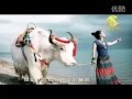 藏族歌手琼雪卓玛-把爱留在西藏Chongshol Dolma song- love to stay in Tibet.