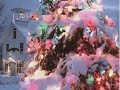 Vera Lynn with Bob Farnon orchestra - Christmas Time (from rare old 78rpm)