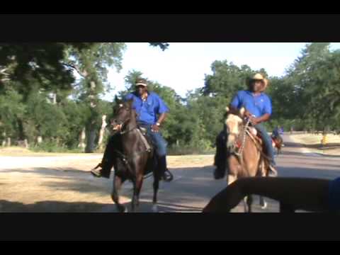 runners and riders