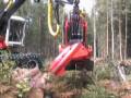 HARVESTER  PRENTICE 2510  EM  AÇÃO