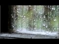 Lluvia de la Misma Gente