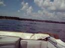 Fun in the sun Fun in the sun
