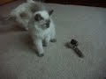 Merlin & Arthur - Mom Broke Our Toy!!!