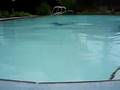 TS Fay Day 1 - the pool