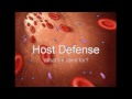 Immune Support