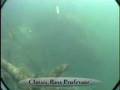 Fishing Lure Tips - Bucktail Jig