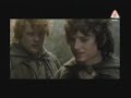 Punjabi totay of Lord of the Rings