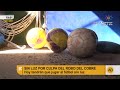 Sin luz por culpa del robo de cobre