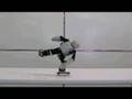 Meet "Plen"   the robot skating dude