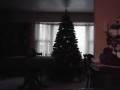 videos de history