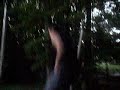 backflip/frontflip