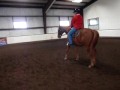 Elizabeth Horseback Riding - Salsa