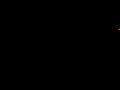 1. Bundesliga Damen (Unihockey)