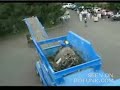 car getting OWNED!!!