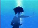 Naruto x Hinata - Look at us now Naruto x Hinata - Look at us now