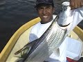 robalo