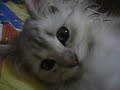 so easy to fall asleep~~~~~  =P