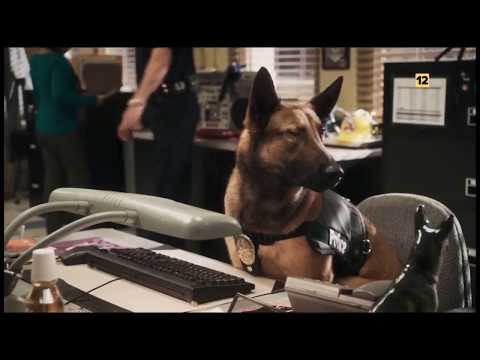 Promo 1 Nueva Serie: Angie Tribeca, Muy Pronto Estreno en Neox (15/05/2020)
